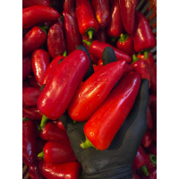 Jalapeno Mammoth