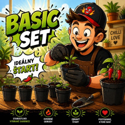 1. Set BASIC ( 6 ks) 