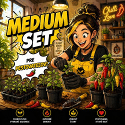 2. Set MEDIUM ( 6 ks) 